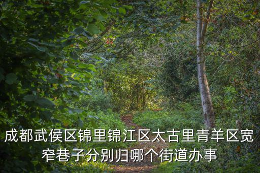 成都武侯區(qū)錦里錦江區(qū)太古里青羊區(qū)寬窄巷子分別歸哪個街道辦事