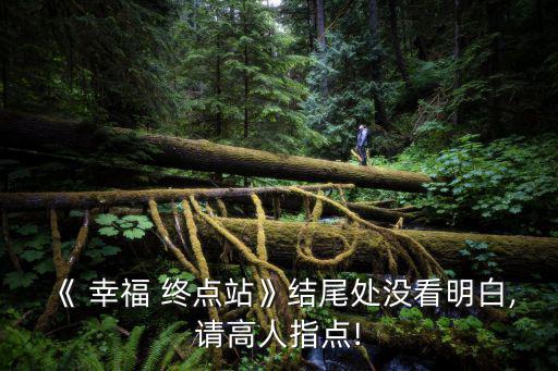 《 幸福 終點站》結尾處沒看明白,請高人指點!