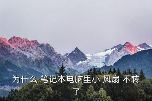 為什么 筆記本電腦里小 風(fēng)扇 不轉(zhuǎn)了