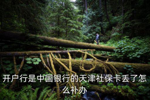 開(kāi)戶行是中國(guó)銀行的天津社保卡丟了怎么補(bǔ)辦