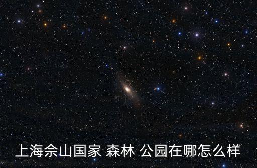 上海佘山國家 森林 公園在哪怎么樣