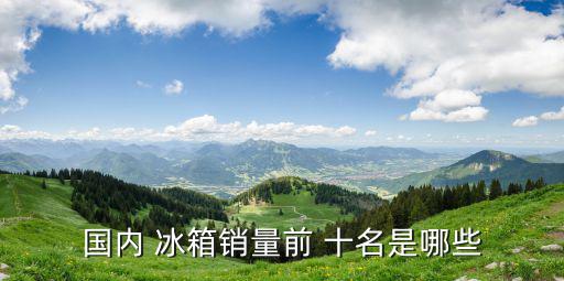 國內 冰箱銷量前 十名是哪些