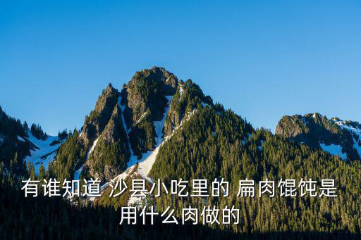 沙縣扁肉,福建特色小吃沙縣扁肉一碗豆豉醬五毛錢