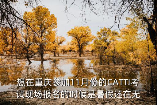 想在重慶參加11月份的CATTI考試現(xiàn)場報(bào)名的時(shí)候是暑假還在無