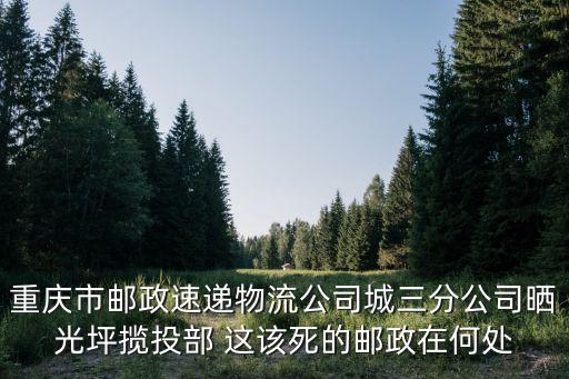 重慶市郵政速遞物流公司城三分公司曬光坪攬投部 這該死的郵政在何處