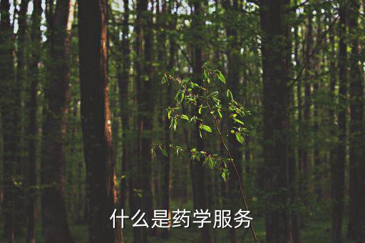 什么是藥學服務