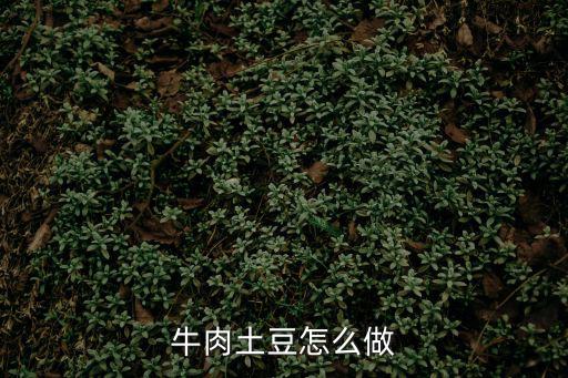 牛肉土豆怎么做
