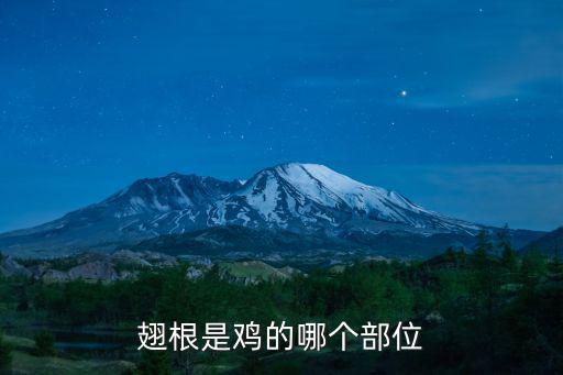 翅根是雞的哪個部位