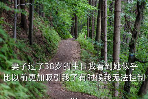  妻子過了38歲的生日我看到她似乎比以前更加吸引我了有時候我無法控制...