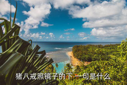 倒打一耙的前一句是什么,八戒一個個被打敗倒打一耙形成歇后語