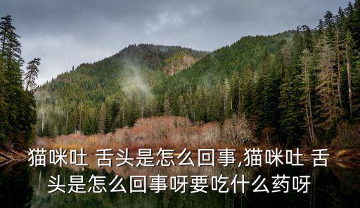 貓咪吐一小截舌頭,貓咪睡覺時會吐舌頭或發呆或下巴短