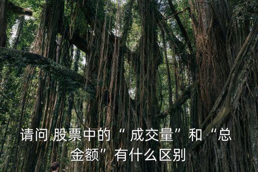請問 股票中的“ 成交量”和“總 金額”有什么區別