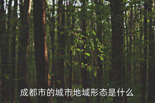 成都市的城市地域形態是什么