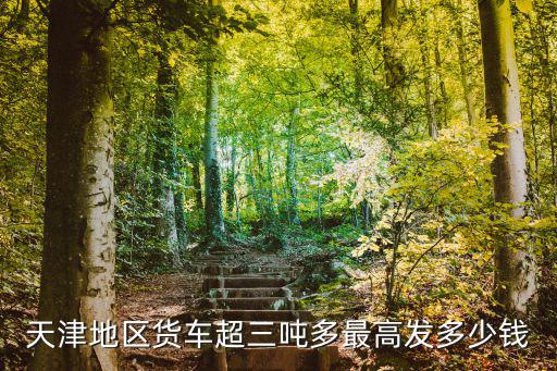 天津地區貨車超三噸多最高發多少錢