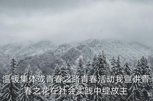 溫暖集體或青春之路青春活動(dòng)我宣講青春之花在社會(huì)實(shí)踐中綻放主