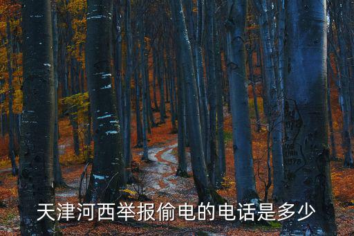 天津市電力公司王永福，天津電建是個什么概念