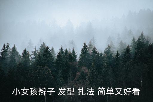 小女孩辮子 發型 扎法 簡單又好看