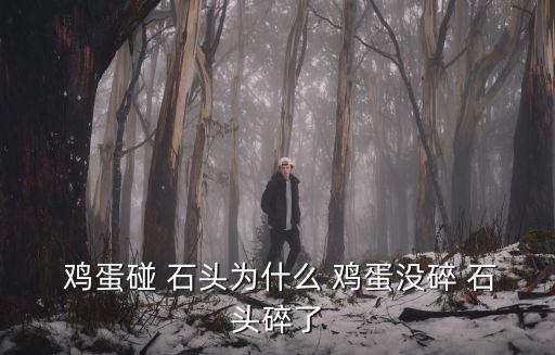 雞蛋和石頭,雞蛋與石頭的碰撞