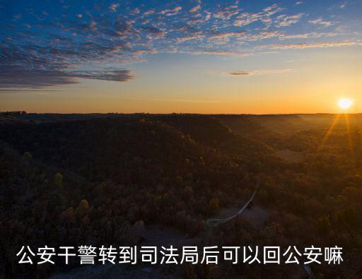 公安干警轉(zhuǎn)到司法局后可以回公安嘛