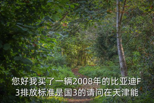 您好我買了一輛2008年的比亞迪F3排放標準是國3的請問在天津能