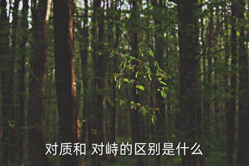 對質和 對峙的區別是什么