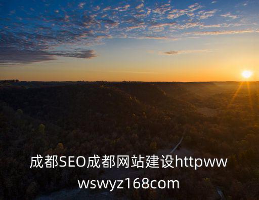 成都SEO成都網站建設httpwwwswyz168com