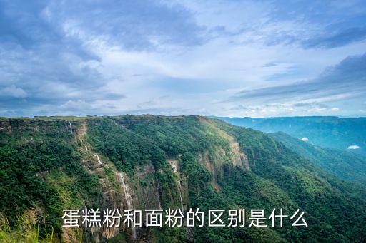 蛋糕粉是什么粉,蛋糕用什么面粉?低筋面粉營(yíng)養(yǎng)高?