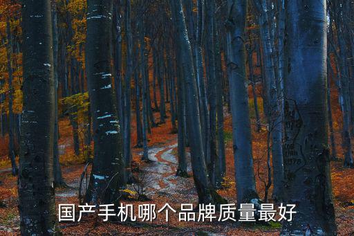 國產手機哪個品牌質量最好