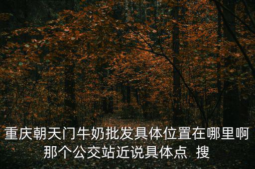 重慶朝天門牛奶批發具體位置在哪里啊那個公交站近說具體點  搜