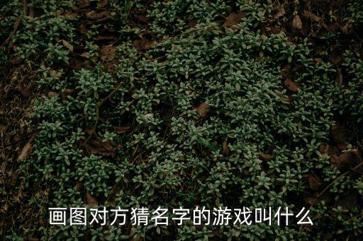 畫圖對方猜名字的游戲叫什么