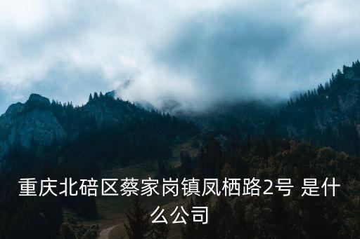 重慶北碚區蔡家崗鎮鳳棲路2號 是什么公司