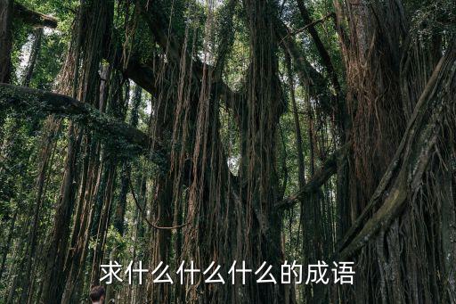 求什么什么什么的成語