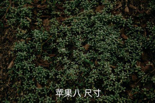  蘋果八 尺寸