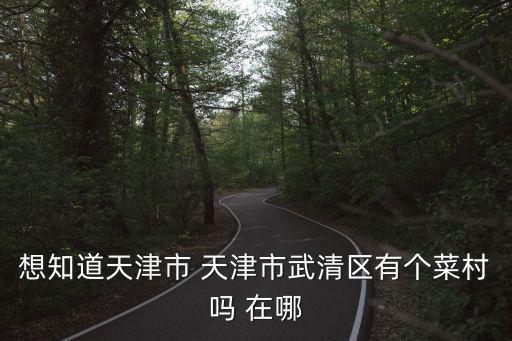 想知道天津市 天津市武清區有個菜村嗎 在哪
