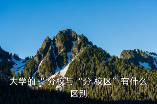 大學的“ 分校與“分 校區”有什么區別