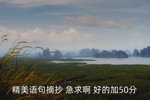 精美語句摘抄 急求啊 好的加50分