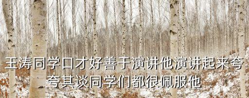 口才好，形容口才好的4字成語