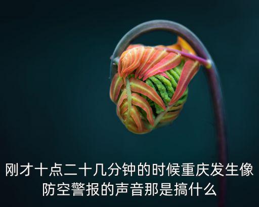2021重慶市防空警報，重慶大轟炸紀念防空警報什么時候開始的