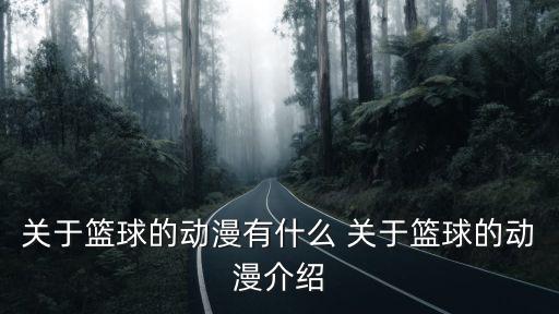 關于籃球的動漫有什么 關于籃球的動漫介紹