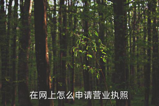 電子版營業執照怎么弄，如何申請 電子營業執照