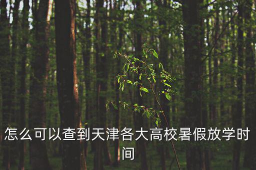 天津市高校什么時候放暑假，今年天津各高校都什么時候放暑假