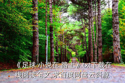 《足球 小說(shuō)在 路上》txt下載在線(xiàn)閱讀全文,求百度網(wǎng)盤(pán)云資源