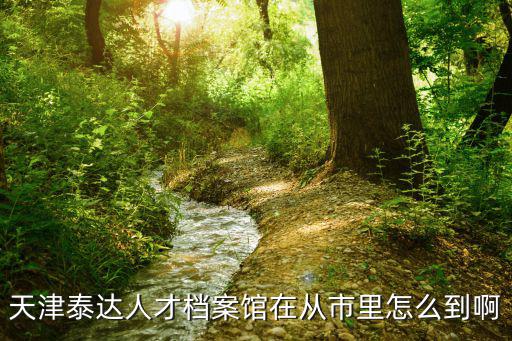 天津泰達(dá)人才檔案館在從市里怎么到啊