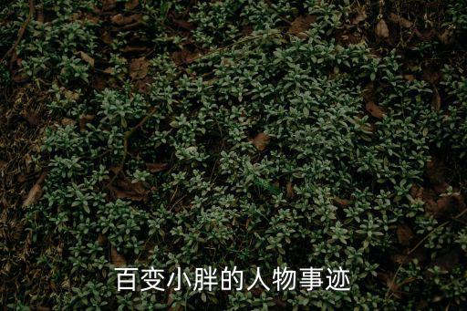 百變小胖的人物事跡