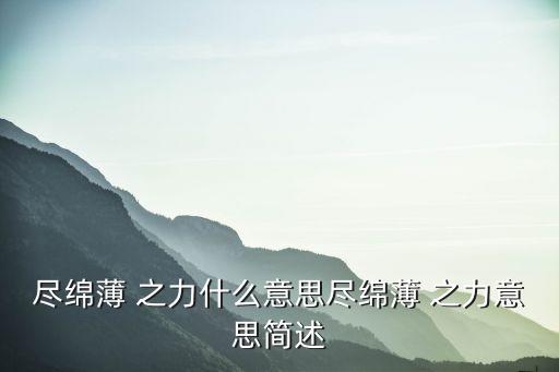 盡綿薄 之力什么意思盡綿薄 之力意思簡述