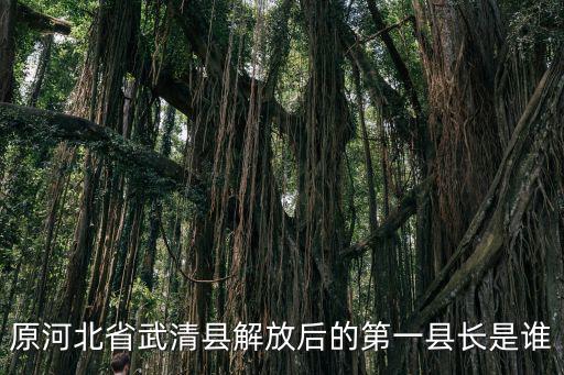 原河北省武清縣解放后的第一縣長是誰