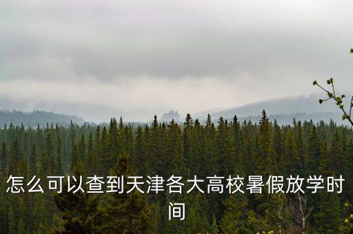 怎么可以查到天津各大高校暑假放學(xué)時間