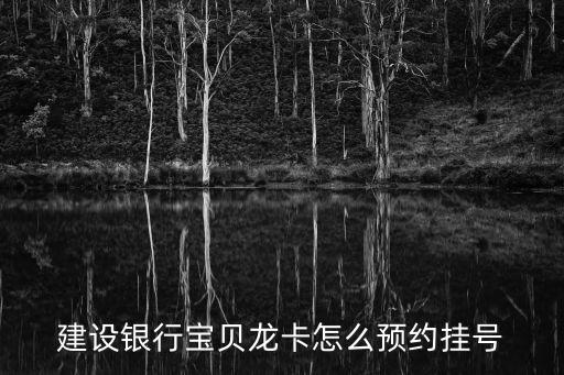 建設(shè)銀行寶貝龍卡怎么預(yù)約掛號