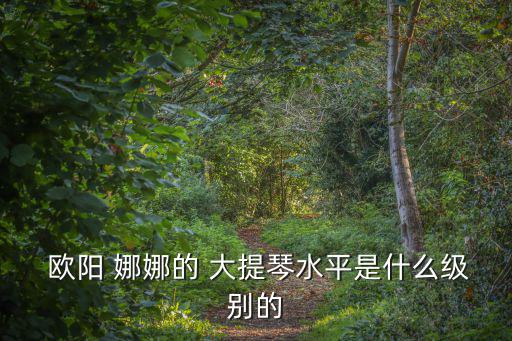  歐陽 娜娜的 大提琴水平是什么級別的