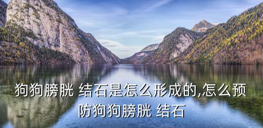 狗狗膀胱 結石是怎么形成的,怎么預防狗狗膀胱 結石